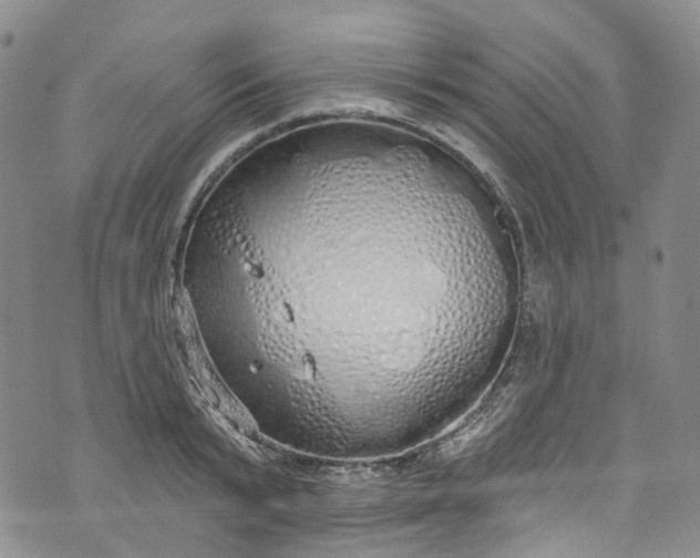 X0000072990799200608041307