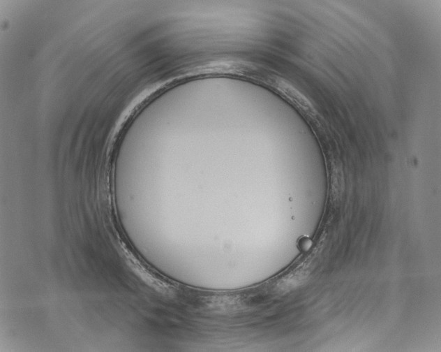 X0000072990800200608041307