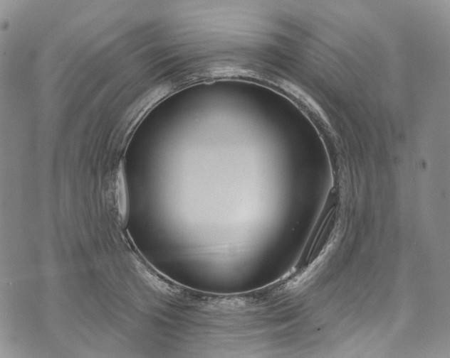 X0000072990801200608041307