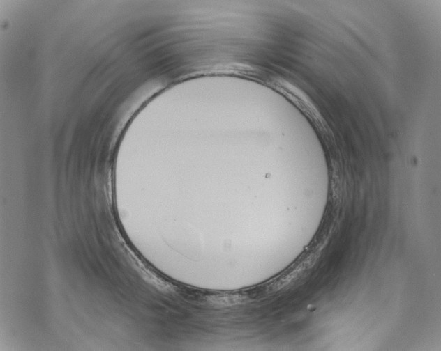 X0000072990804200608041307