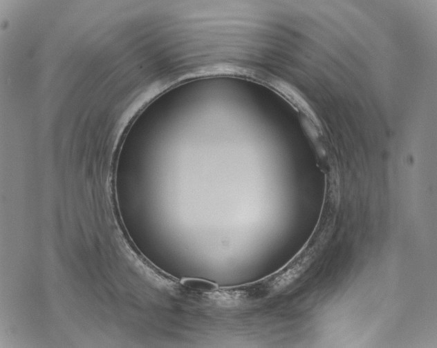 X0000072990805200608041307