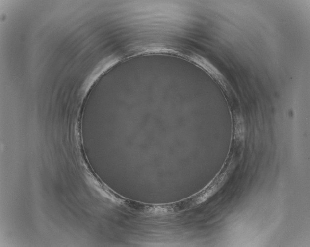 X0000072990806200608041307