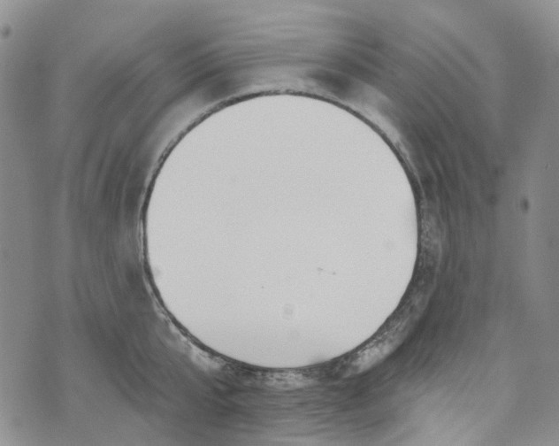 X0000072990807200608041307