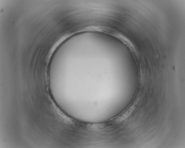 X0000072990808200608041307