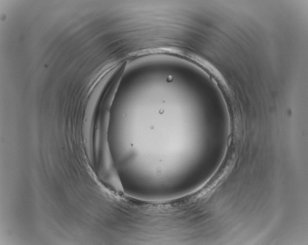 X0000072990809200608041307