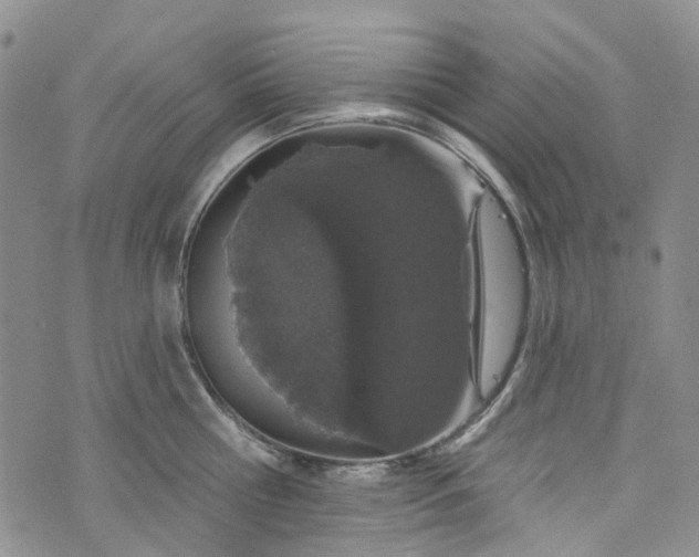 X0000072990810200608041307