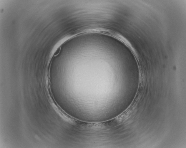 X0000072990811200608041306