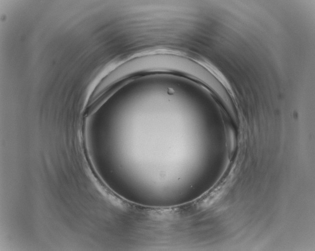 X0000072990813200608041306