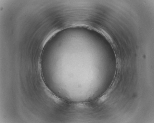 X0000072990814200608041306