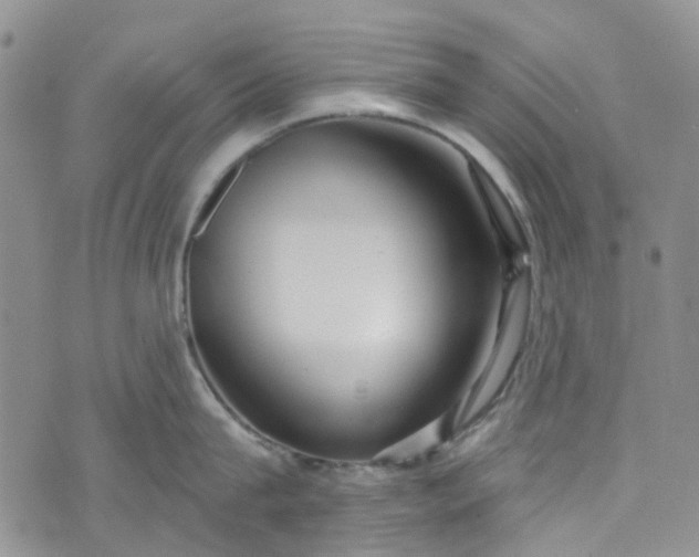 X0000072990815200608041306