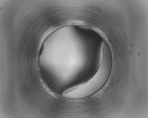 X0000072990816200608041306