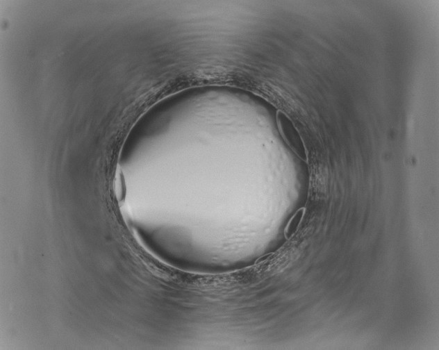 X0000072990817200608041306