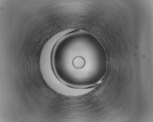 X0000072990818200608041306