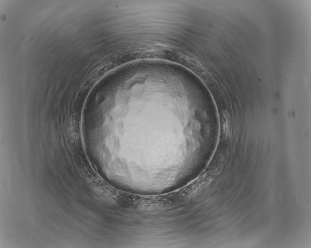 X0000072990819200608041306