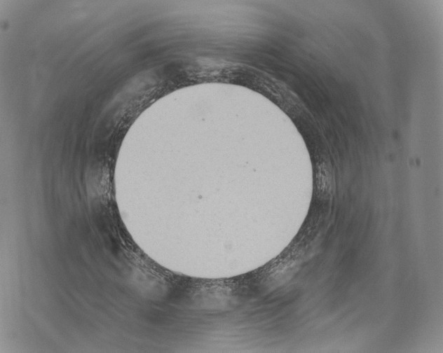 X0000072990820200608041306