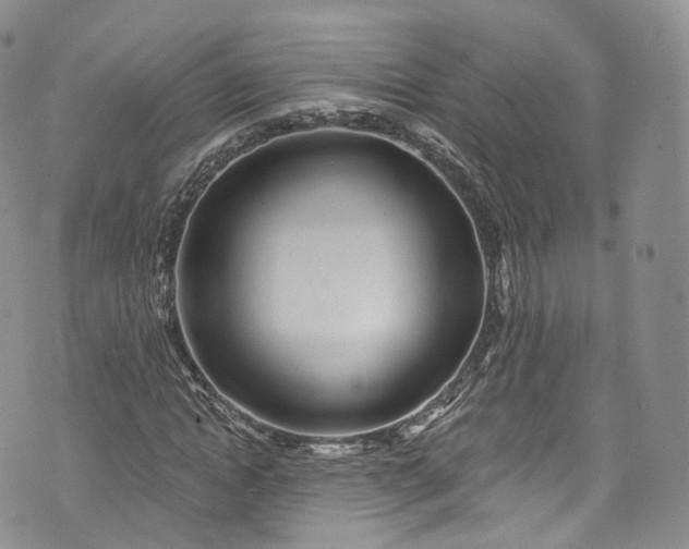 X0000072990822200608041306