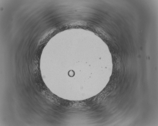 X0000072990824200608041306