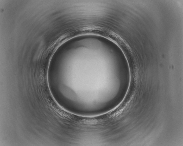 X0000072990825200608041306