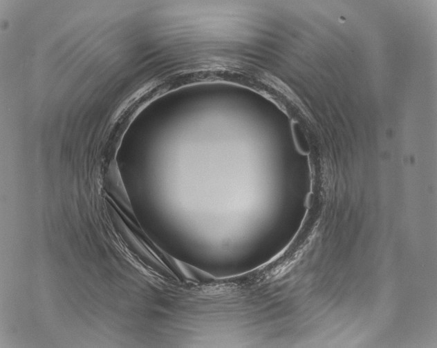 X0000072990826200608041306