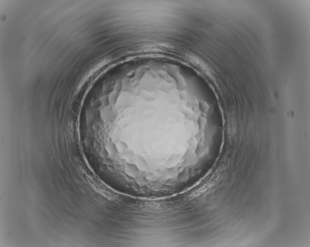 X0000072990827200608041306