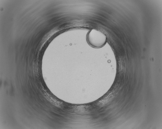 X0000072990828200608041306