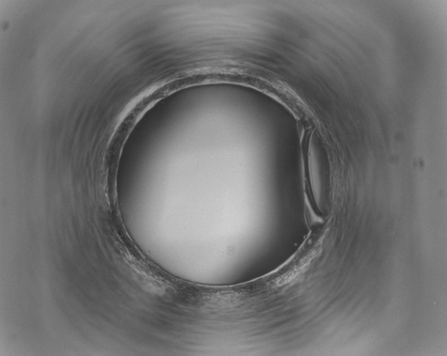 X0000072990830200608041306