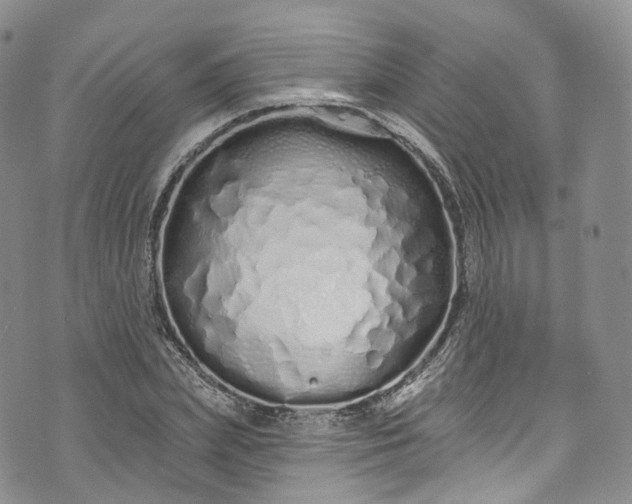 X0000072990831200608041306