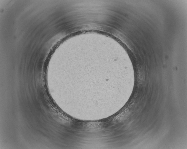 X0000072990832200608041306