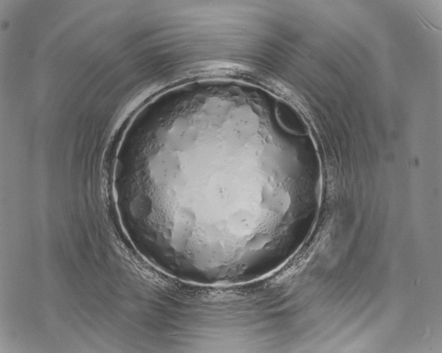 X0000072990835200608041306