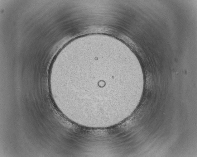 X0000072990836200608041306