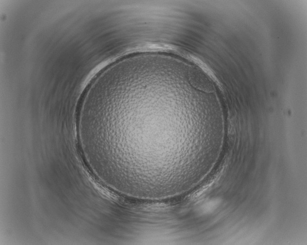 X0000072990837200608041306