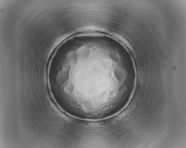 X0000072990839200608041306