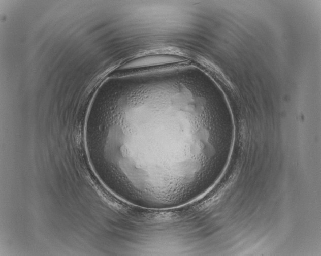 X0000072990841200608041306