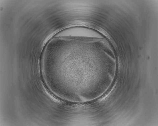 X0000072990842200608041306