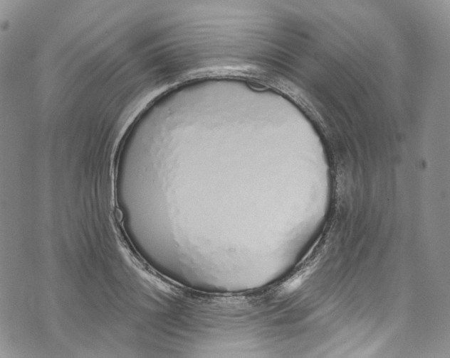 X0000072990844200608041306