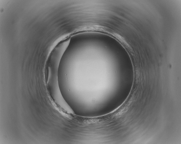 X0000072990846200608041306