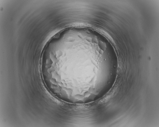 X0000072990847200608041306