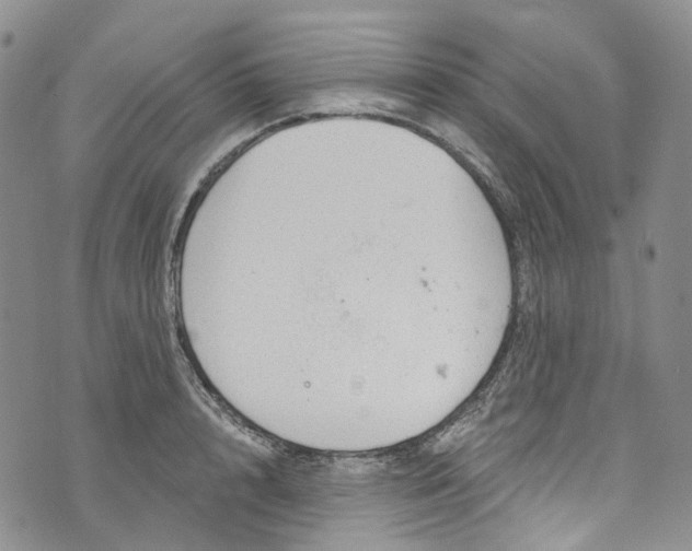 X0000072990848200608041306