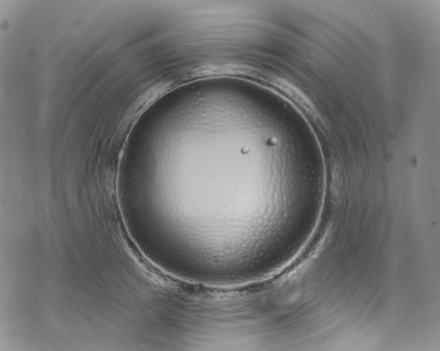 X0000072990849200608041306