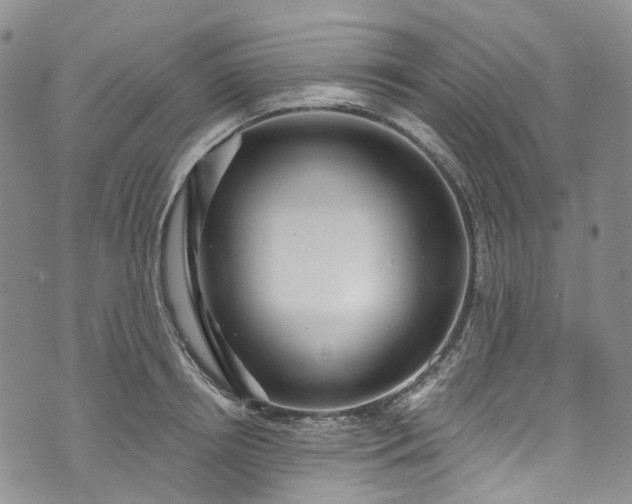 X0000072990850200608041306