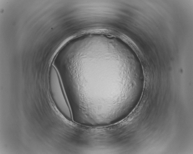 X0000072990852200608041306