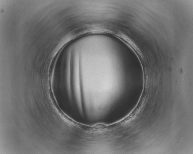 X0000072990853200608041306