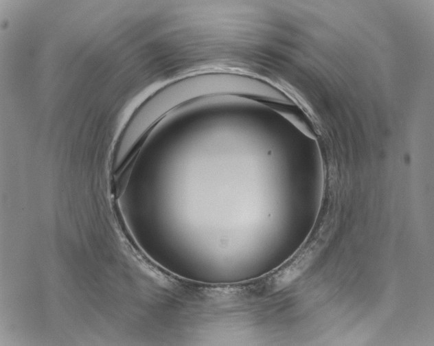 X0000072990854200608041306