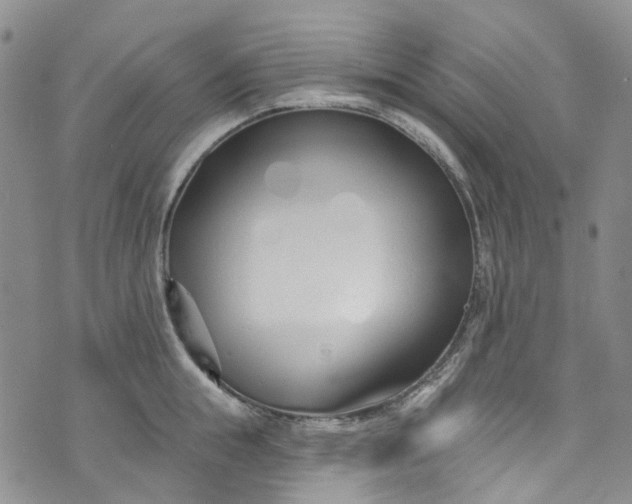 X0000072990855200608041306