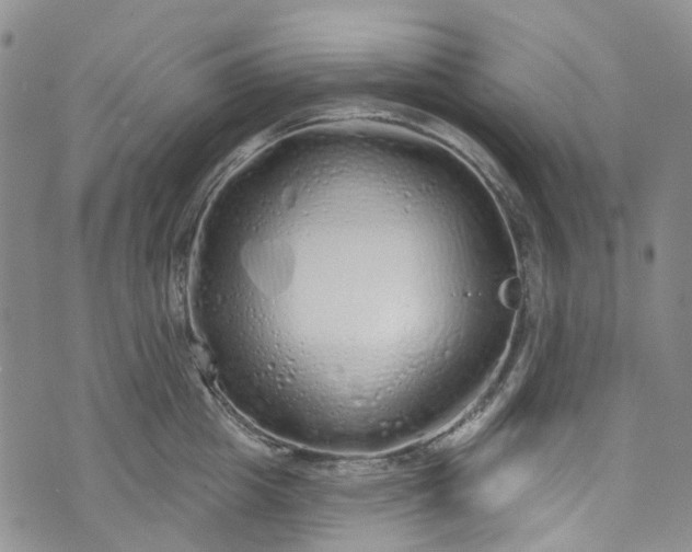 X0000072990857200608041306