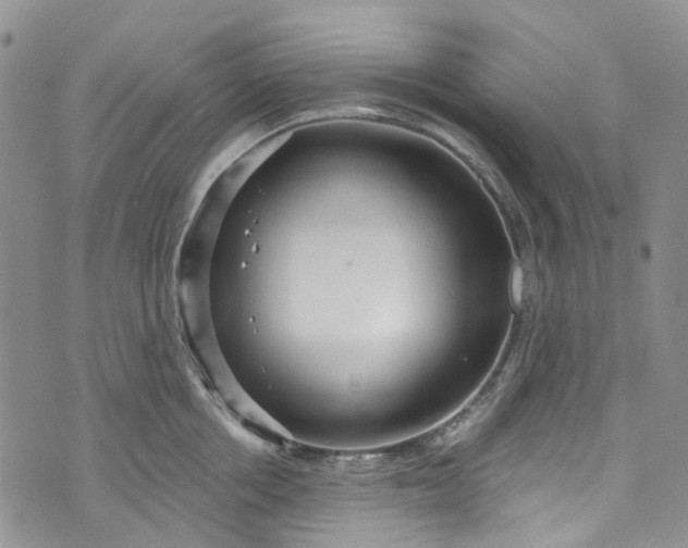 X0000072990858200608041306