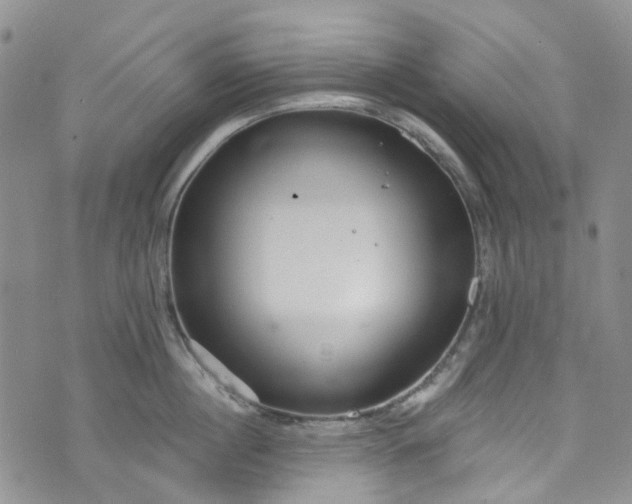 X0000072990860200608041306