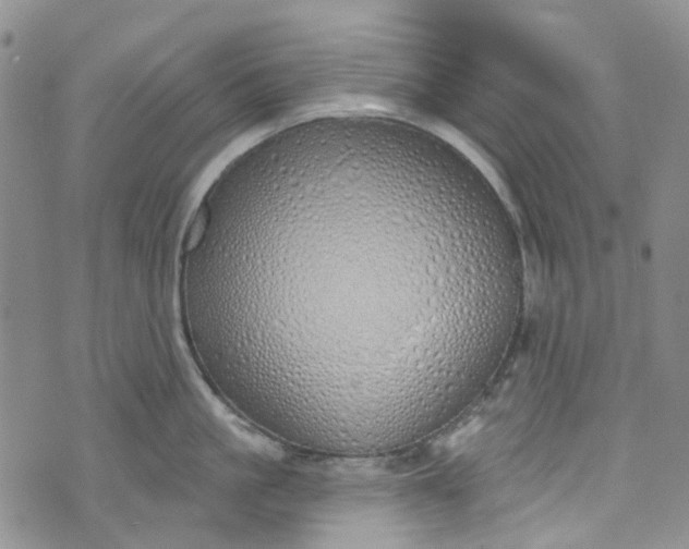 X0000072990861200608041306