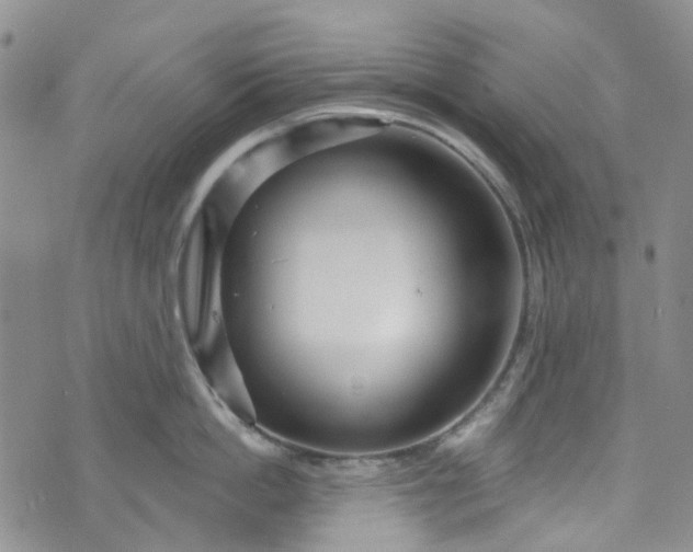 X0000072990862200608041306