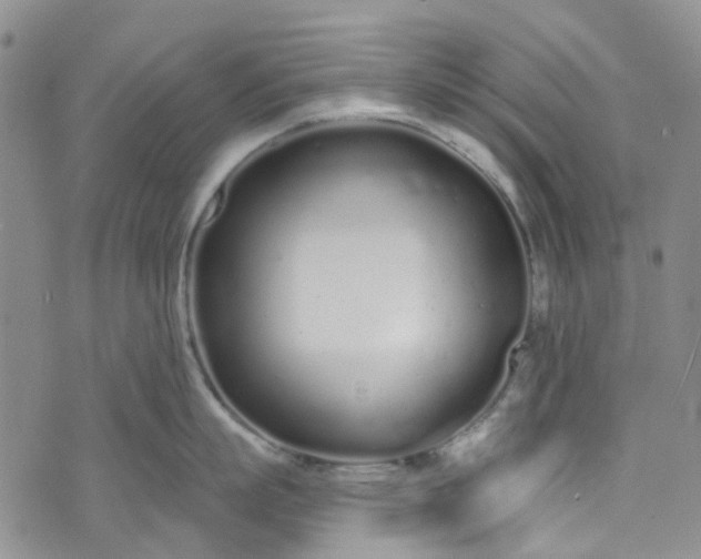 X0000072990863200608041306